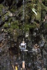 Jet Setter 50S  [RICO]